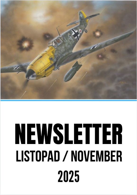 Newsletter / November 2025